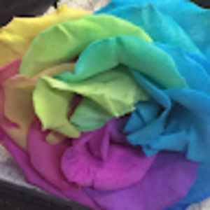 Meet your Posher, Alice